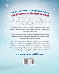 The Adventures of Penguin Tim & Steve