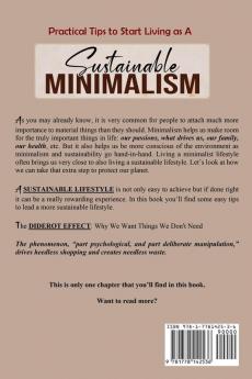 SUSTAINABLE MINIMALISM