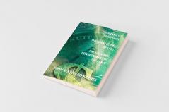 The Means to Prosperity the Great Slump of 1930 the Economic Consequences of the Peace