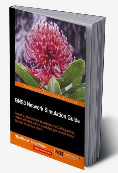 GNS3 Network Simulation Guide