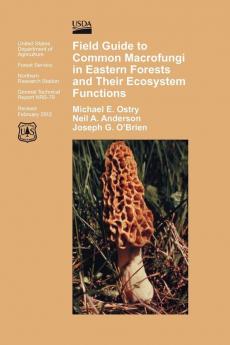 Field Guide to Common Macrofungi in Eastern Forests and Their Ecosystem Function