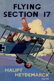 FLYING SECTION 17