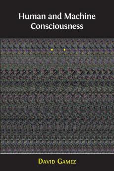 Human and Machine Consciousness