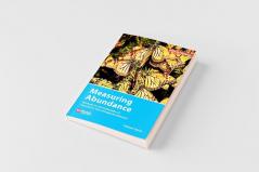 Measuring Abundance