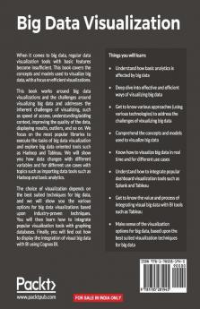 Big Data Visualization