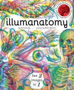 ILLUMANATOMY