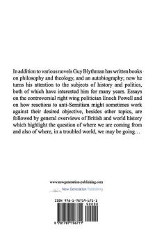 The Bigger Picture: Essays on History and Politics