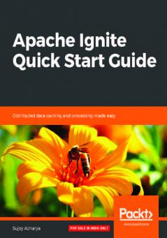 Apache Ignite Quick Start Guide