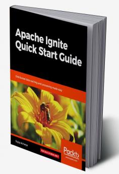 Apache Ignite Quick Start Guide