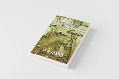 Collected Ghost Stories - A Collection of 22 M R James Stories