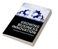 Growing Business Innovation