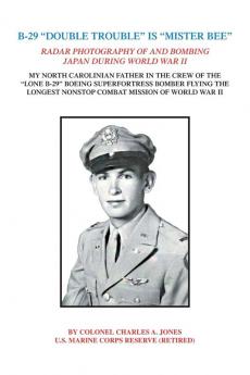 B-29 Double Trouble Is Mister Bee