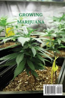 Growing Marijuana: The Ultimate Step-by-Step Guide On How to Grow Marijuana Indoors & Outdoors Produce Mind-Blowing Weed and Even Start a Profitable Long-Term Legal Business.