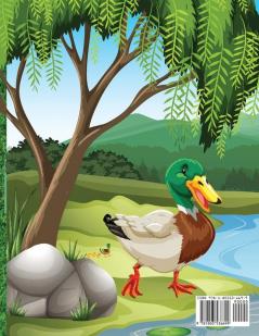 Ducks Coloring Book For Kids And Toddlers