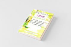 Landscaping Ideas for Beginners