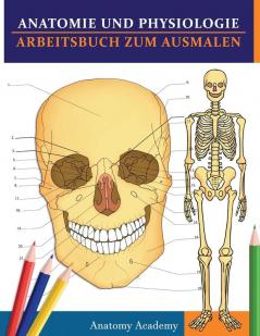 Anatomie und Physiologie Arbeitsbuch zum Ausmalen