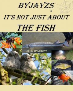 It's Not Just About the Fish