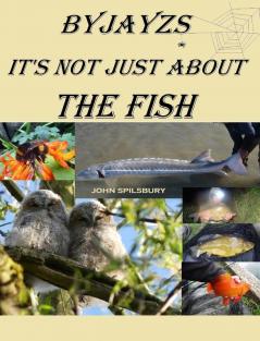 It's Not Just About the Fish