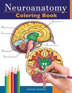 Neuroanatomy Coloring Book
