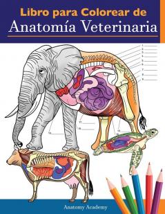 Libro para colorear de anatom��a veterinaria