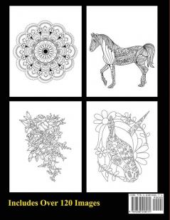 Adult Coloring Book: Stress Relieving Stunning Designs: 120 Unique Images: Stress Relieving Designs