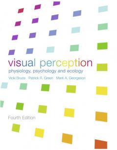 Visual Perception