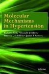 Molecular Mechanisms in Hypertension