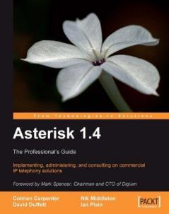 Asterisk 1.4 - the Professional's Guide