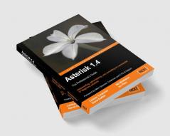 Asterisk 1.4 - the Professional's Guide