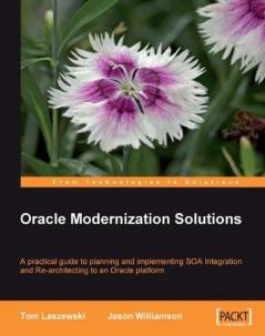 Oracle Modernization Solutions