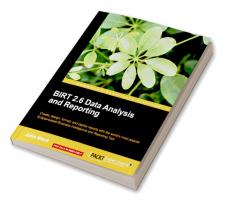 Birt 2.5 Data Analysis and Reporting