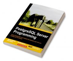 PostgreSQL Server Programming