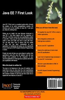 Java Ee 7 First Look