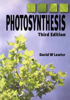 Photosynthesis