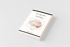 The Principles of Psychology (Vol 1)