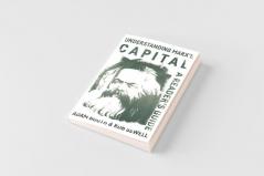 Understanding Marx's Capital