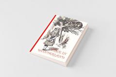 Alice in Wonderand - with 42 Original Illustrations by Sir John Tenniel (Aziloth Books)