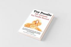 Toy Poodles. the Ultimate Toy Poodle Manual. Toy Poodles Pros and Cons Size Training Temperament Health Grooming Daily Care All Included.