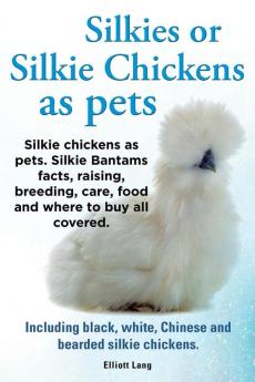 Silkies or Silkie Chickens as Pets. Silkie Bantams Facts Raising Breeding Care Food and Where to Buy All Covered. Including Black White Chinese and Bearded Silkie Chickens.