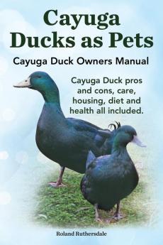 Cayuga Ducks as Pets. Cayuga Duck Owners Manual. Cayuga Duck Pros and Cons Care Housing Diet and Health All Included.
