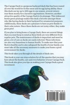 Cayuga Ducks as Pets. Cayuga Duck Owners Manual. Cayuga Duck Pros and Cons Care Housing Diet and Health All Included.