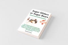 Sugar Gliders or Sugar Bears