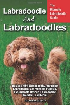 Labradoodle And Labradoodles