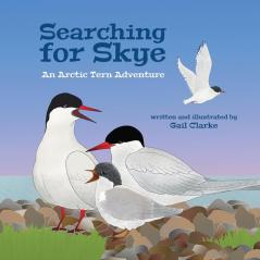 Searching For Skye: An Arctic Tern Adventure