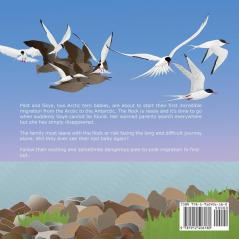 Searching For Skye: An Arctic Tern Adventure