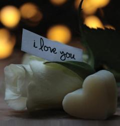 In Loving Memory Funeral Guest Book Loss Celebration of Life Wake Memorial Service Funeral Home Church Condolence Book Thoughts and In Memory Guest Book (Hardback)