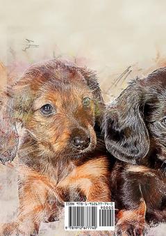 Who doesn't like a nice sausage dog?