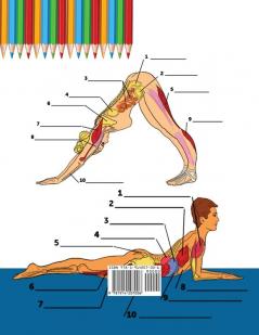 Yoga Anatomy Coloring Book for Beginners