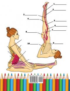Yoga Anatomy Coloring Book for Intermediates