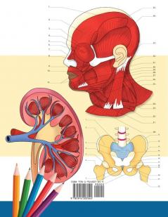 Anatomy and Physiology Coloring Book